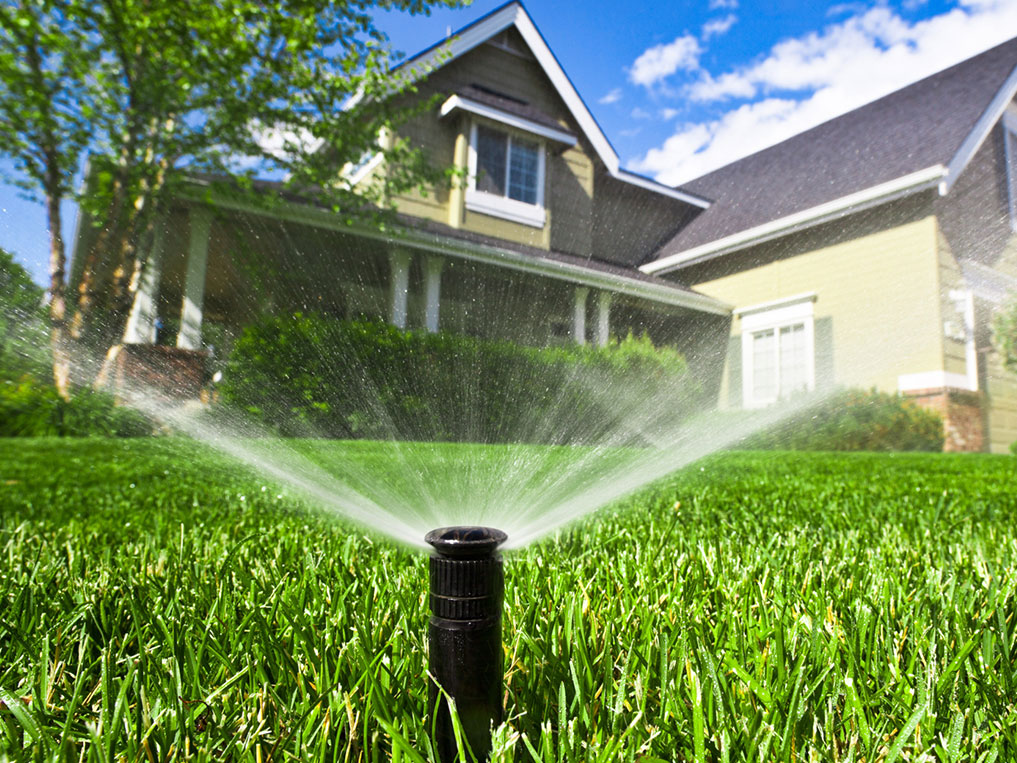Sprinkler System Installation